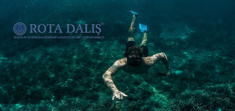 Yeni Başlayanlar İçin Serbest Dalış ile İlgili Her Şey