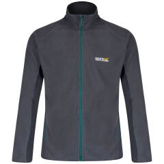 Regatta Ashton Erkek Polar-GRİ