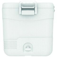 IcePeak CoolCraft 60 Buzluk 56.4 Litre-BEYAZ